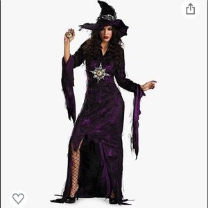 Disguise Sorceress Costume